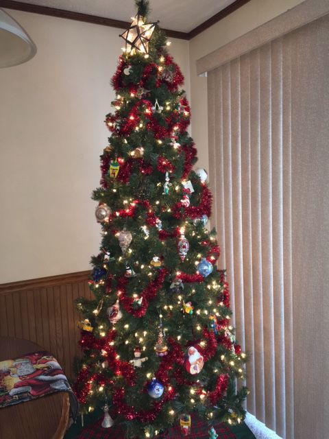 Tree